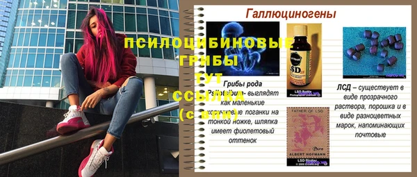 MESCALINE Михайлов