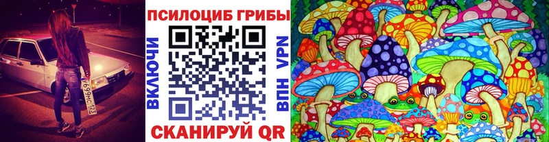Галлюциногенные грибы мицелий  Новосокольники 